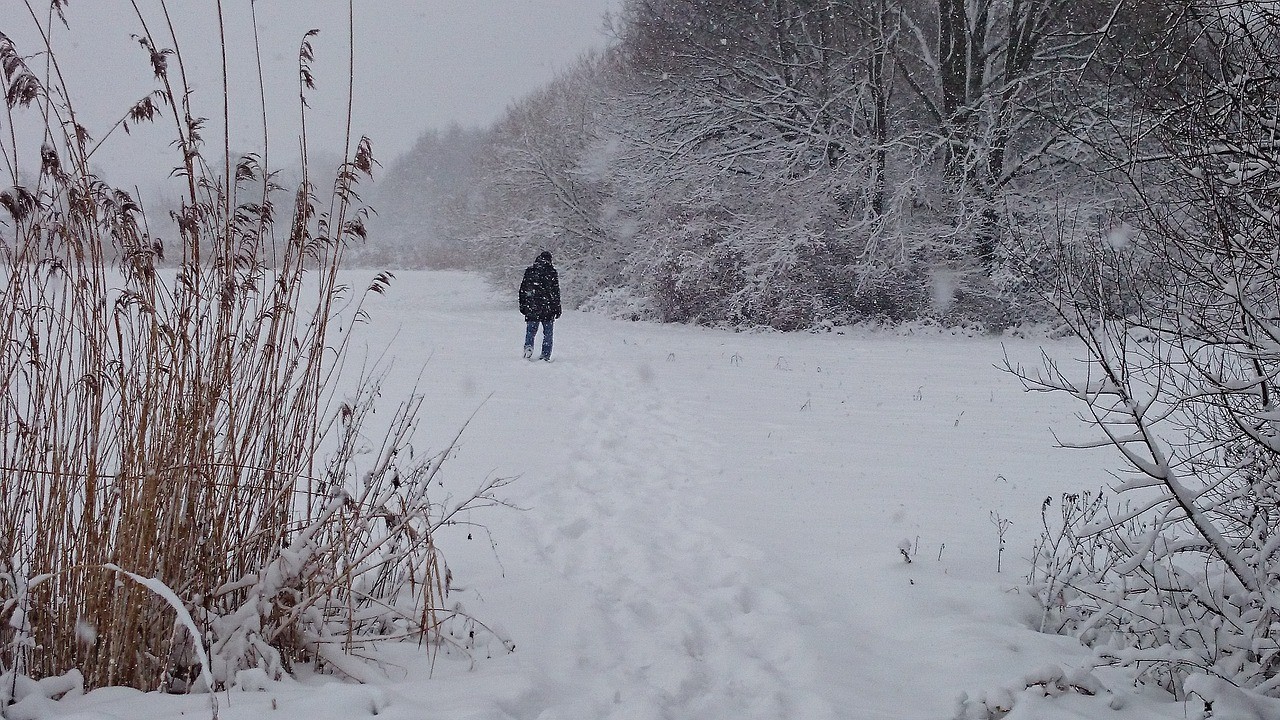 Spaziergang in der zugefrorenen Au
